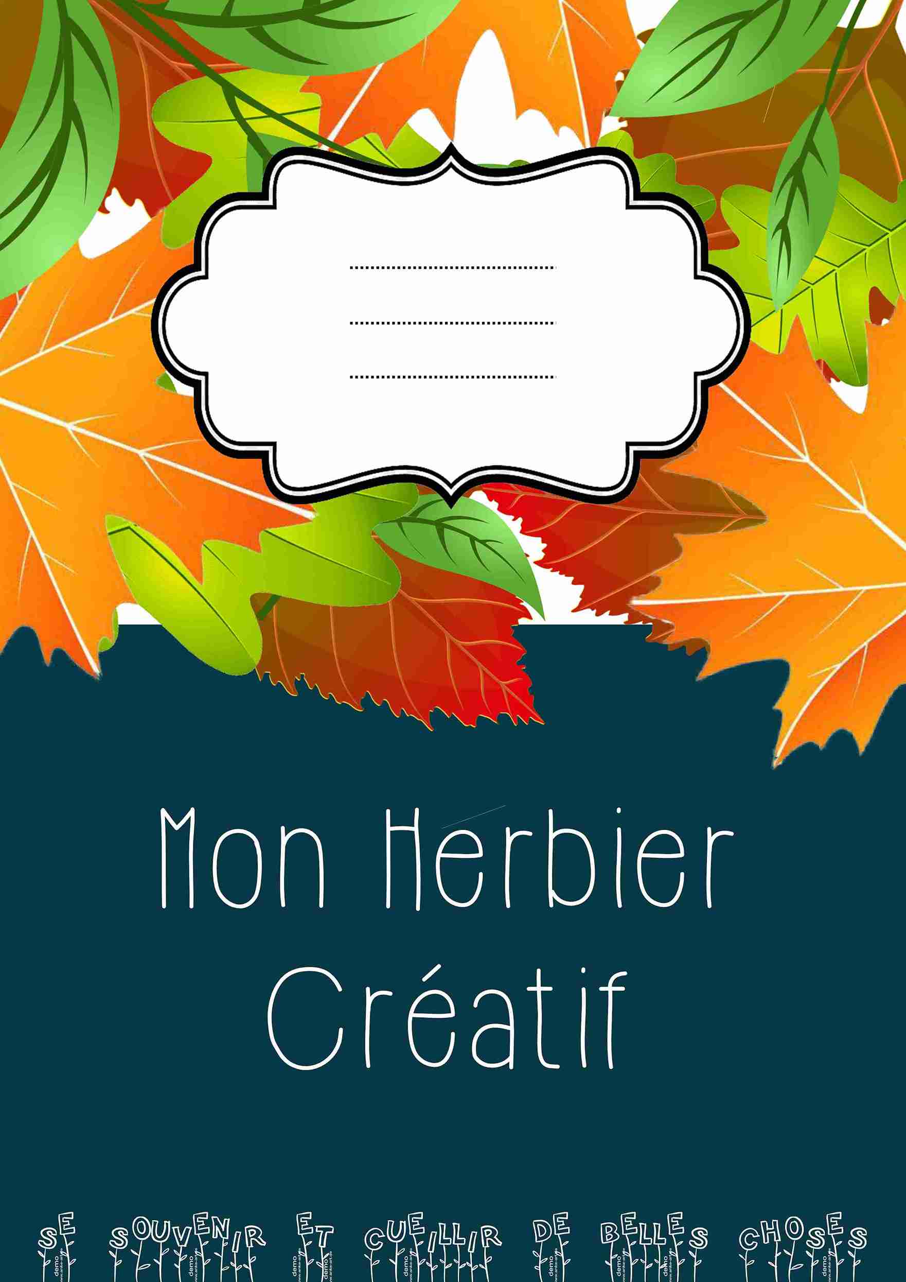 herbier maternelle